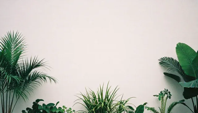 产品推广套餐选型中的常见误区澄清
